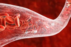 עורק המדגים זרימה של תאי דם